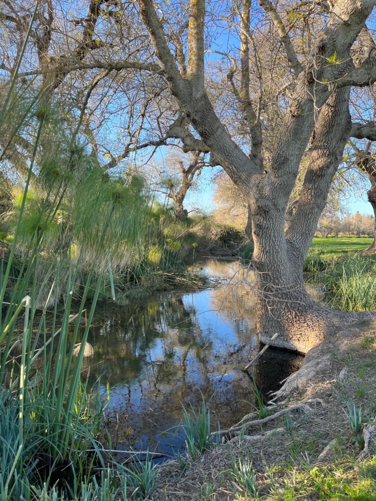 דירות סירקוזה U Pantanu מראה חיצוני תמונה