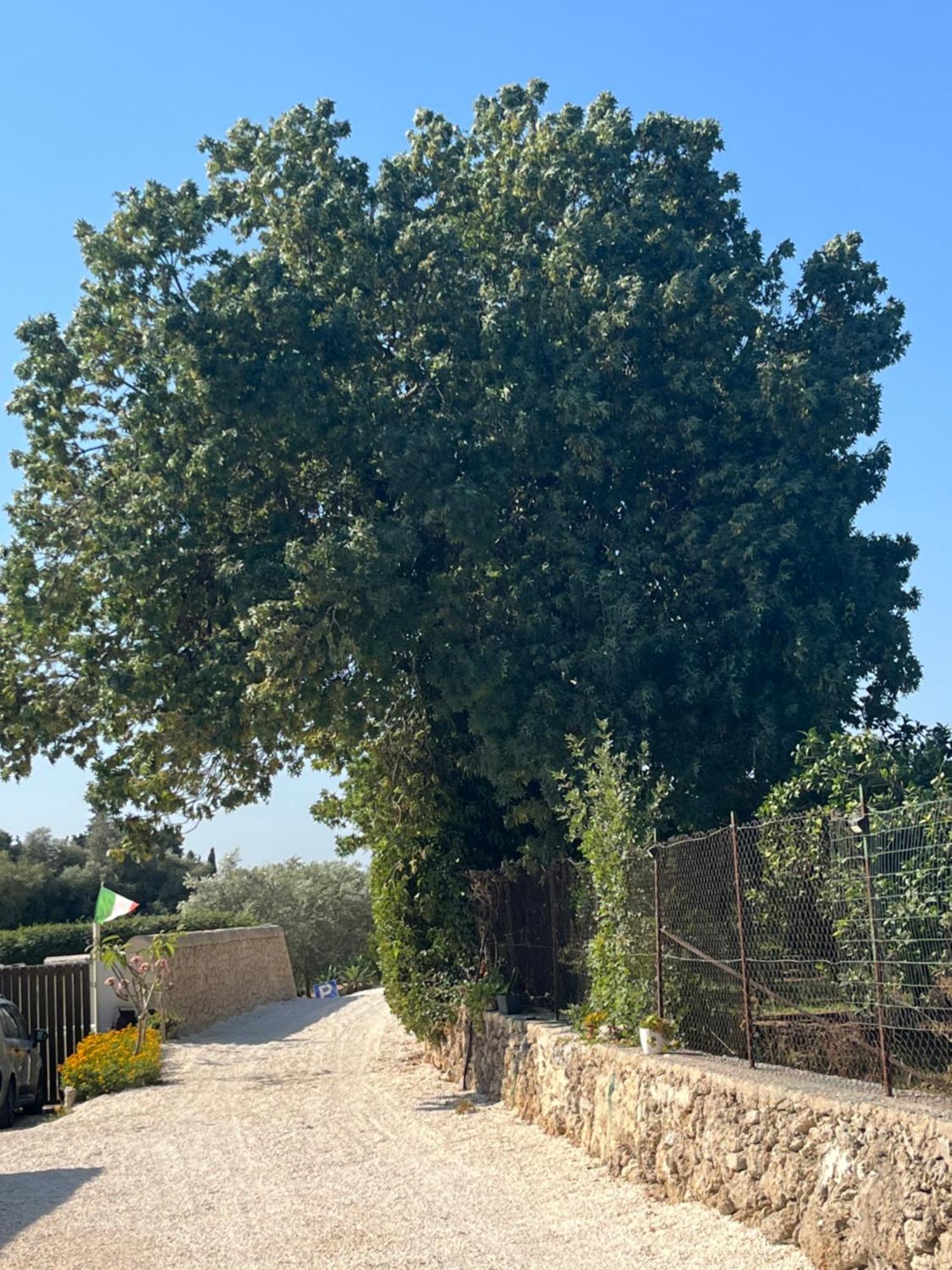 דירות סירקוזה U Pantanu מראה חיצוני תמונה